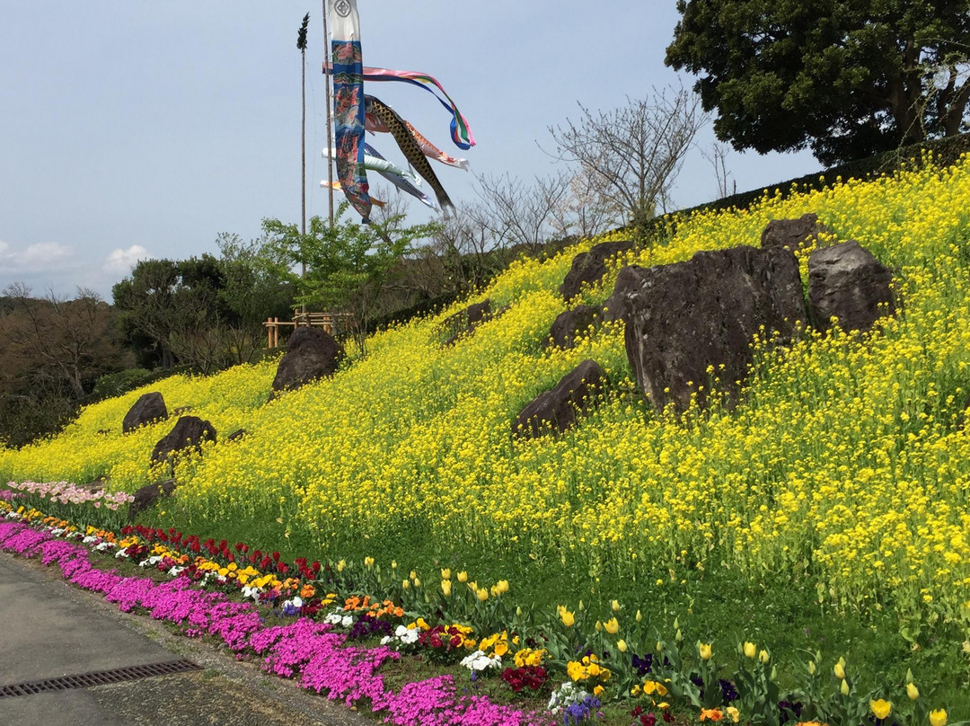 Fukuchi Sanroku Hana Park-直方市必去景点