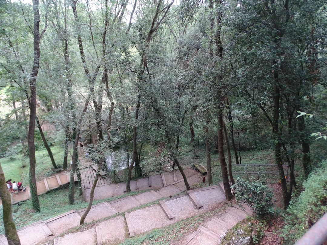 Coves de Serinya景点图片