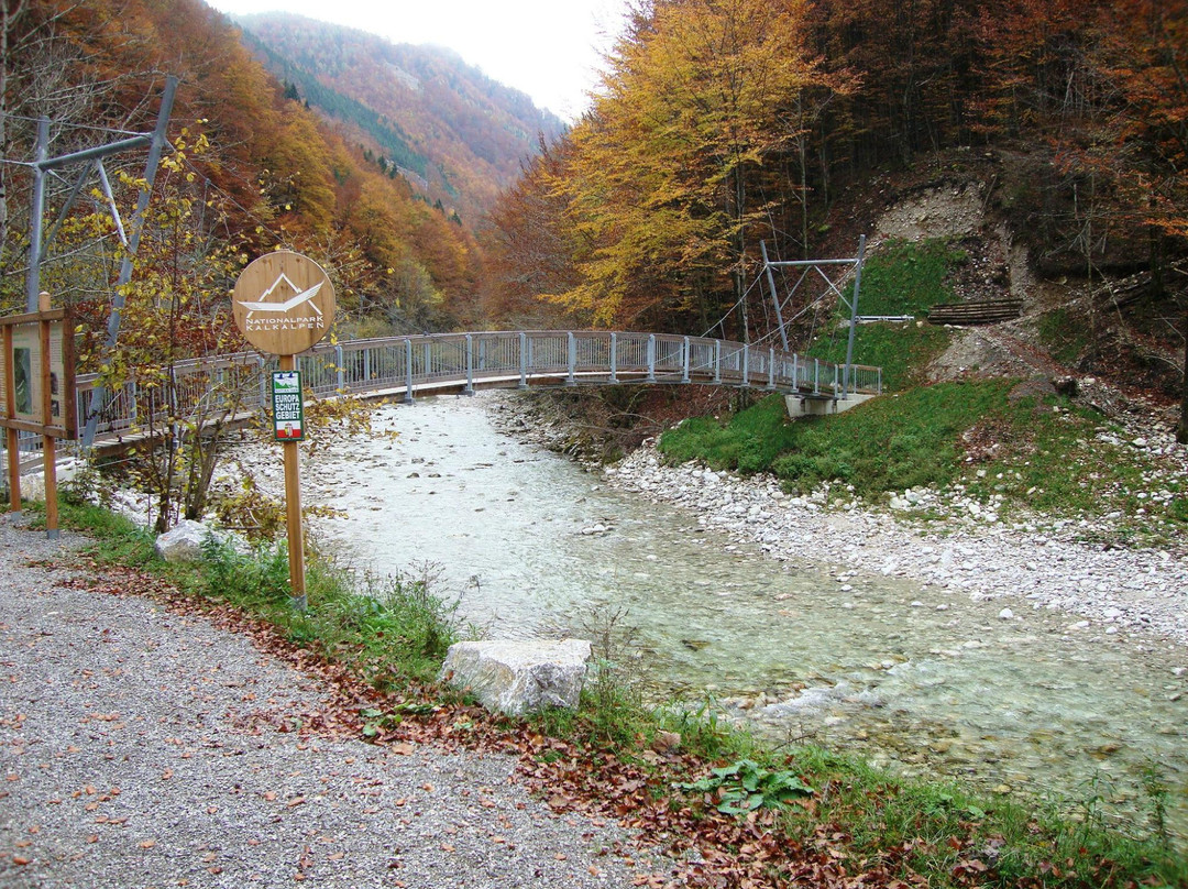 Losenstein旅游景点-Nationalpark Kalkalpen