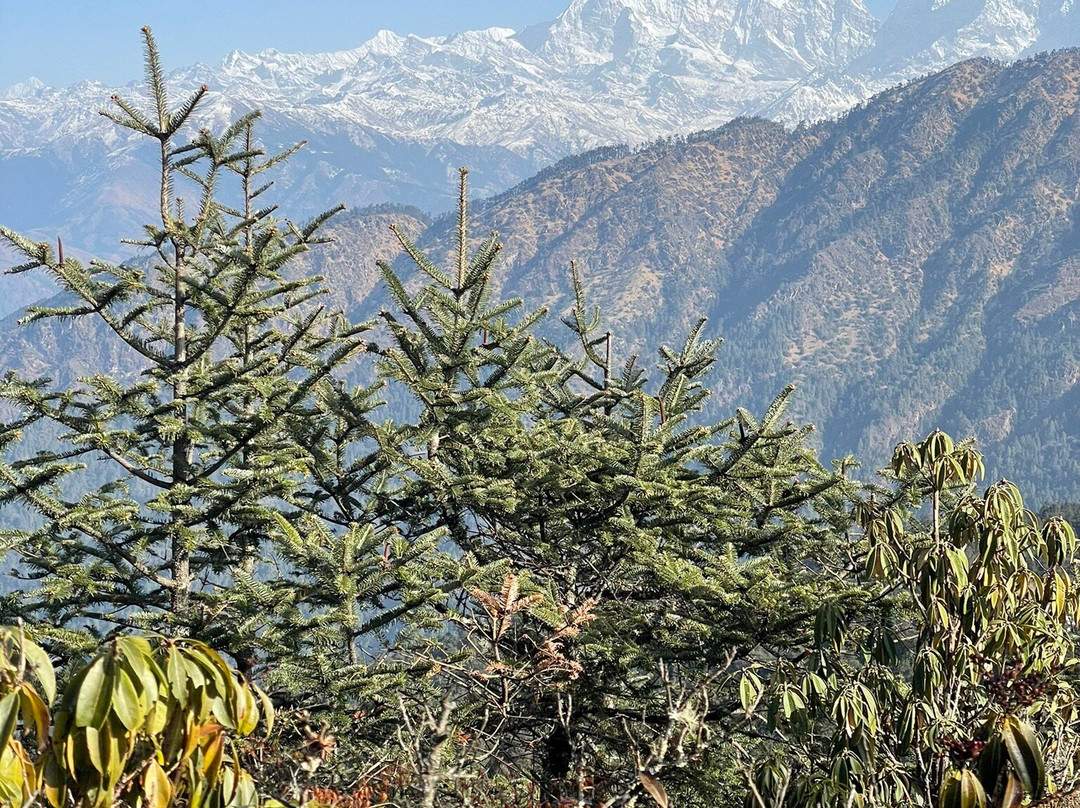 Phaphlu旅游攻略图片