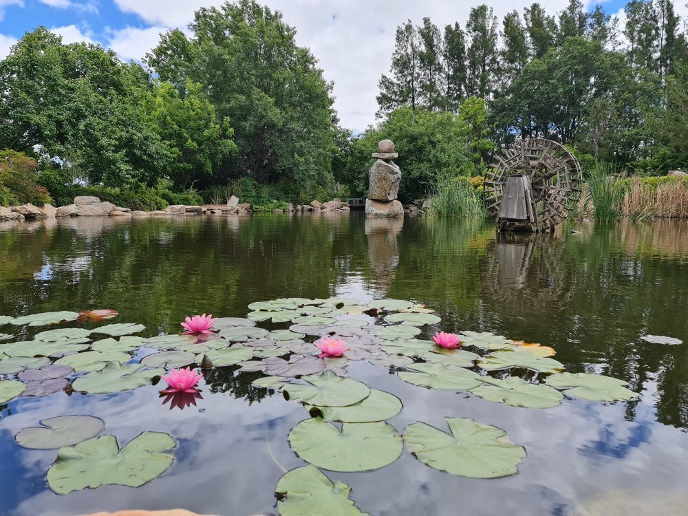 Lambing Flat Chinese Tribute Garden-Young必去景点