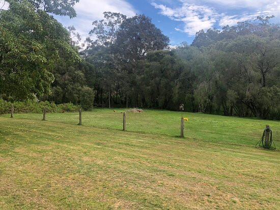 Peppermint Lane Lodge主图