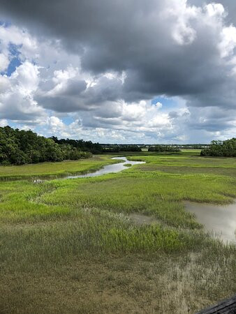 Mount Pleasant Palmetto Islands County Park景点图片