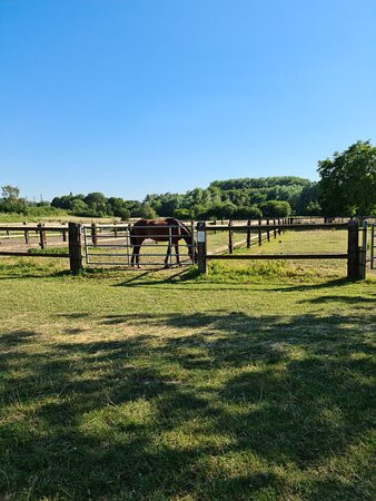 Centre Equestre le Comte-Hem必去景点