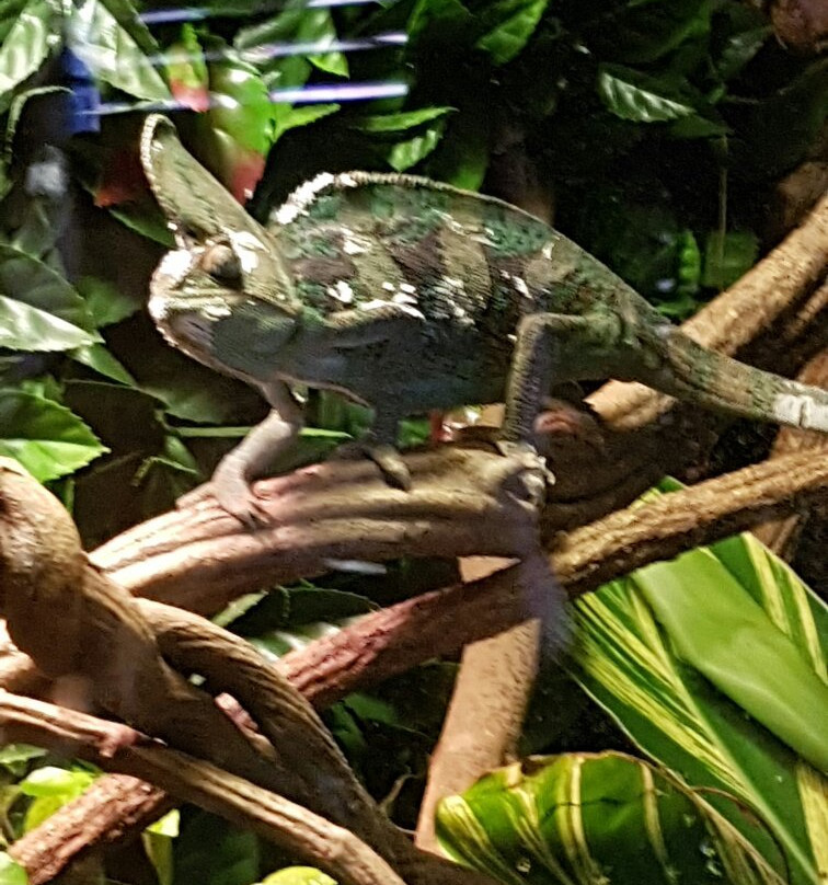 Palm Beach Farmers' Market-棕榈海滩必去景点