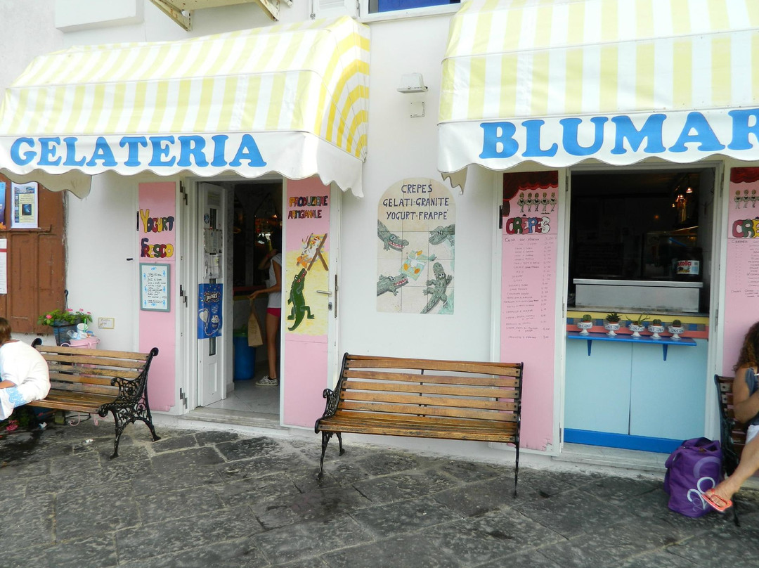 Blumarine