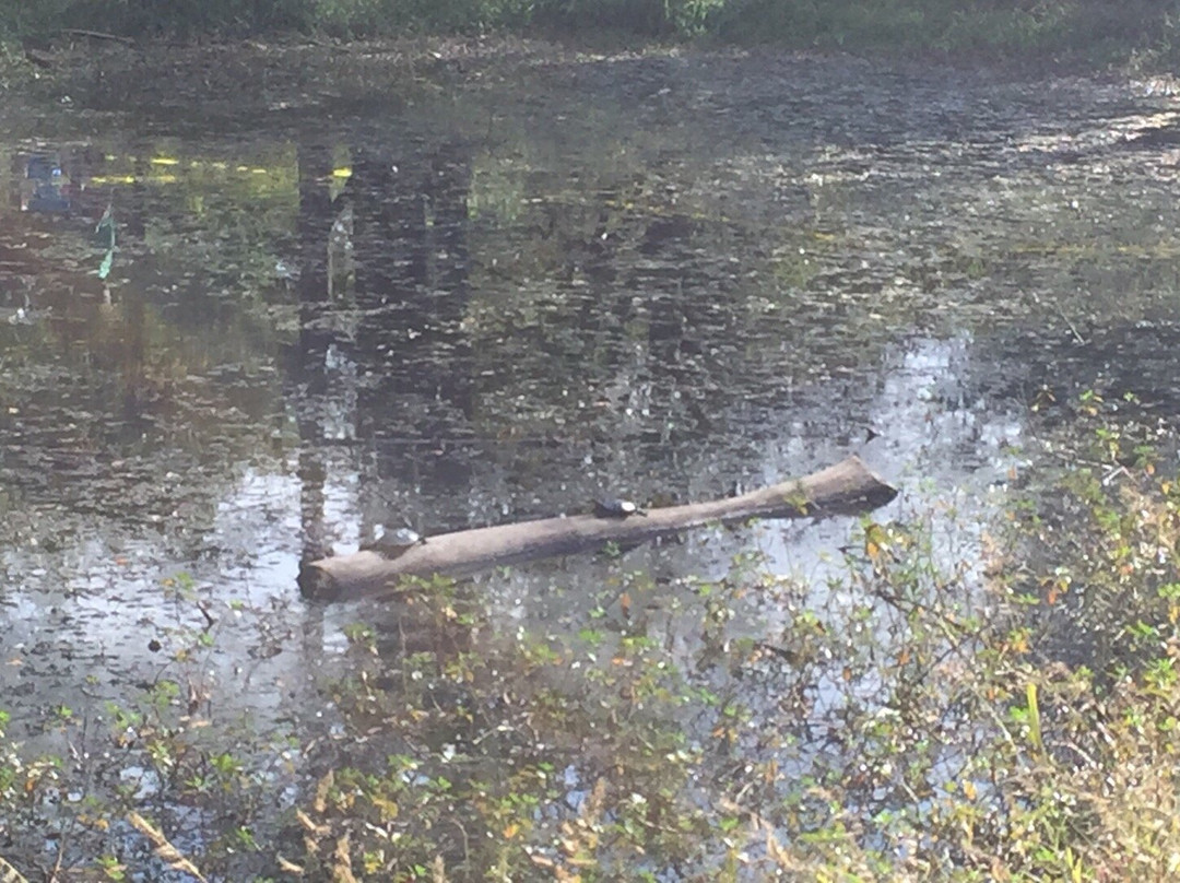 Creasey Mahan Nature Preserve-Goshen必去景点