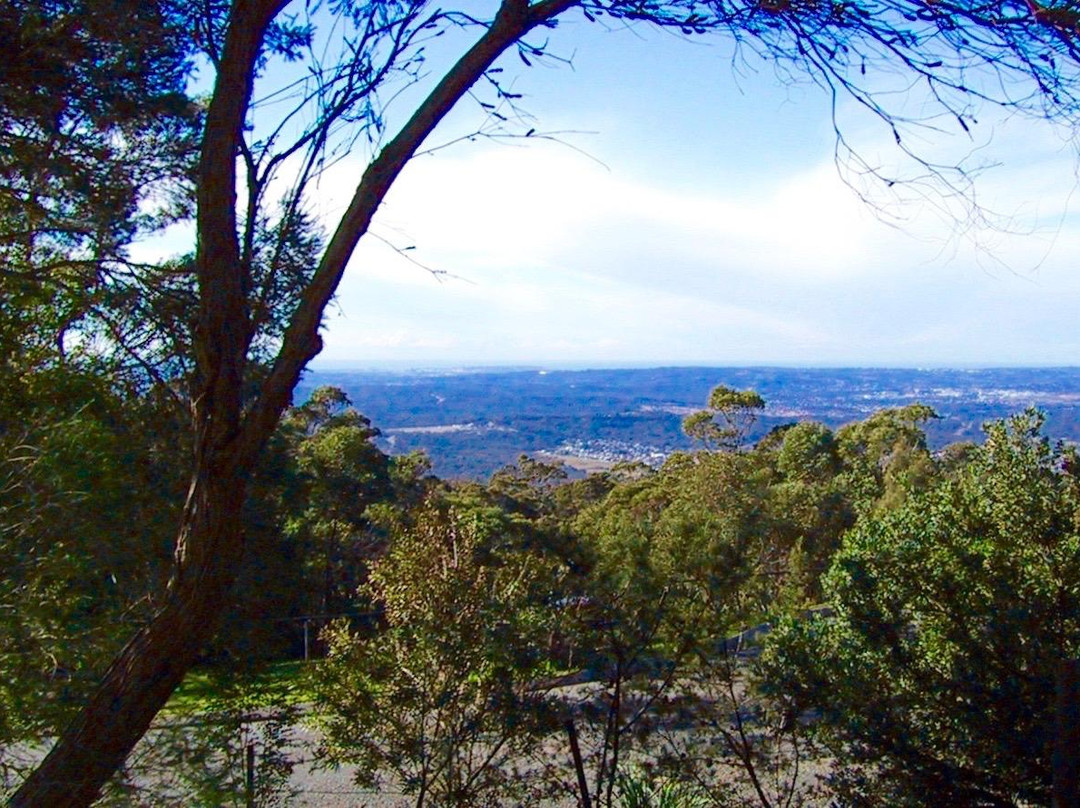 Mount Sugarloaf景点图片