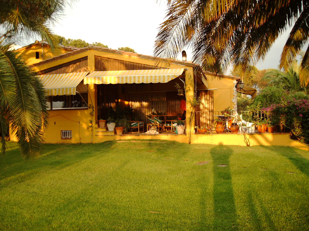 Bed and Breakfast Puig Gros