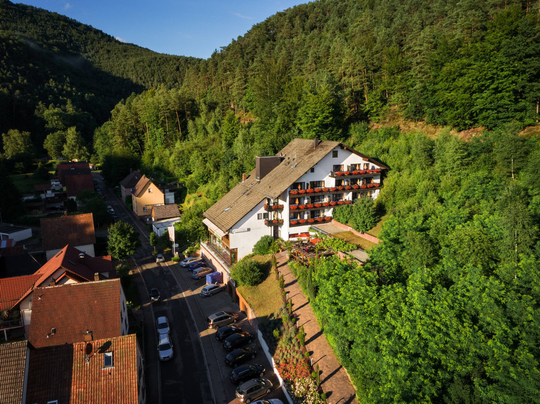 Hinterweidenthal酒店住宿-克莱内布鲁姆酒店