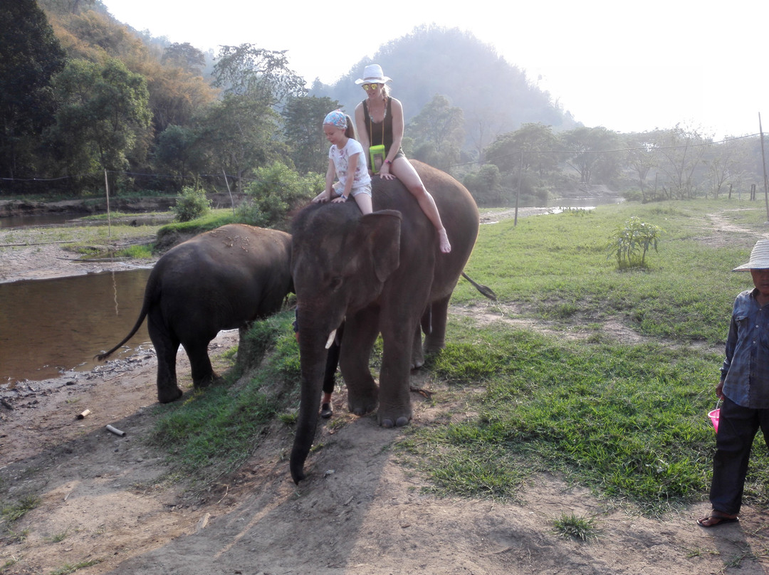 Mayrin Elephant Family Camp景点图片