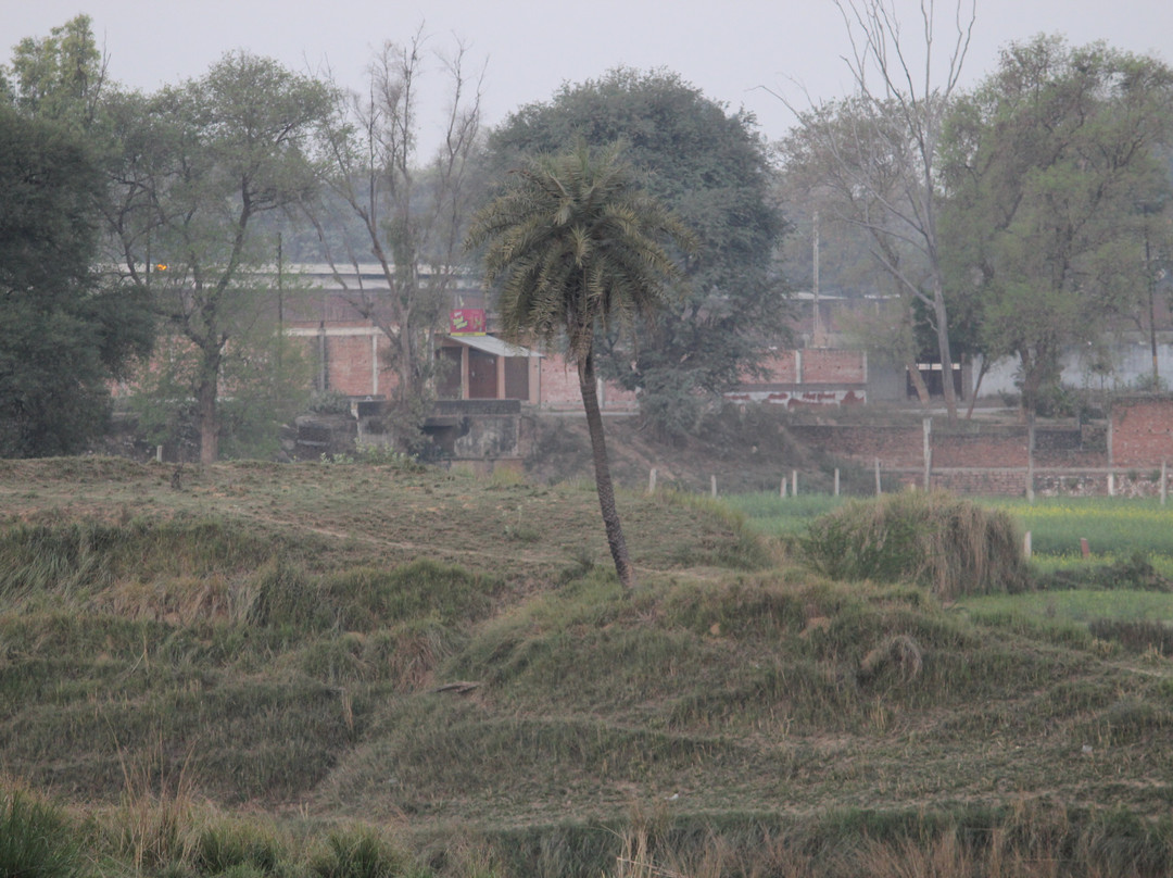 Ashtabhuji Devi Temple景点图片