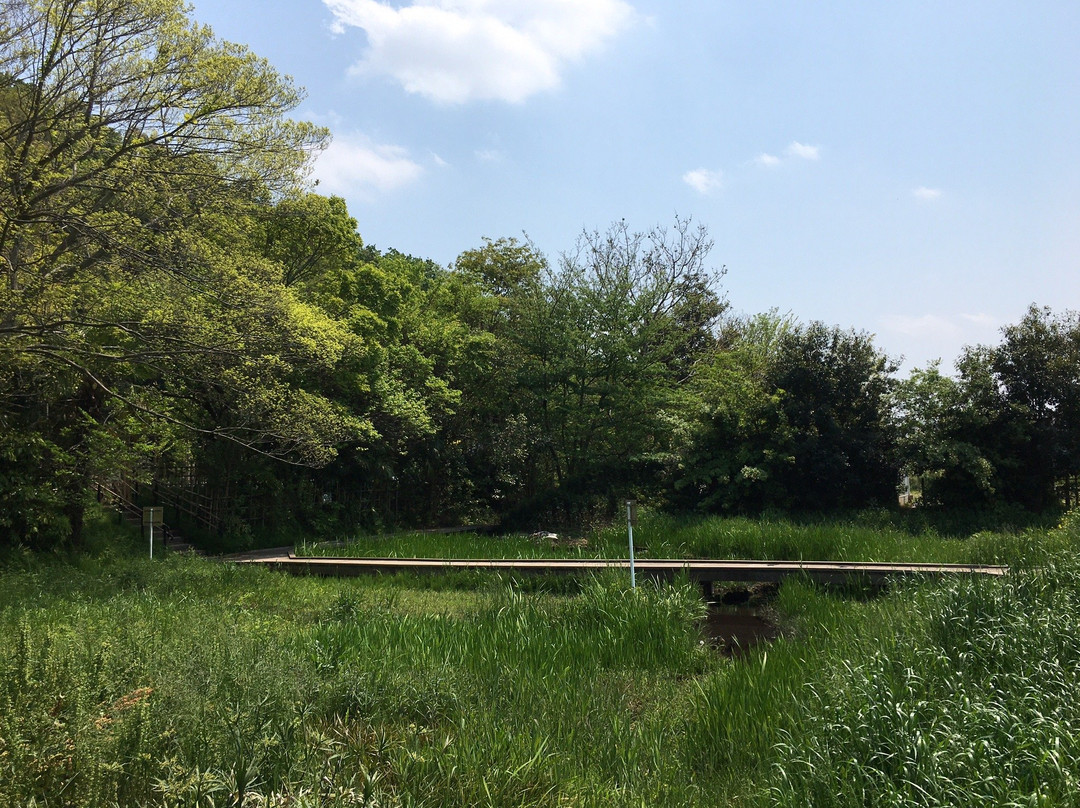 The Village of Osawa