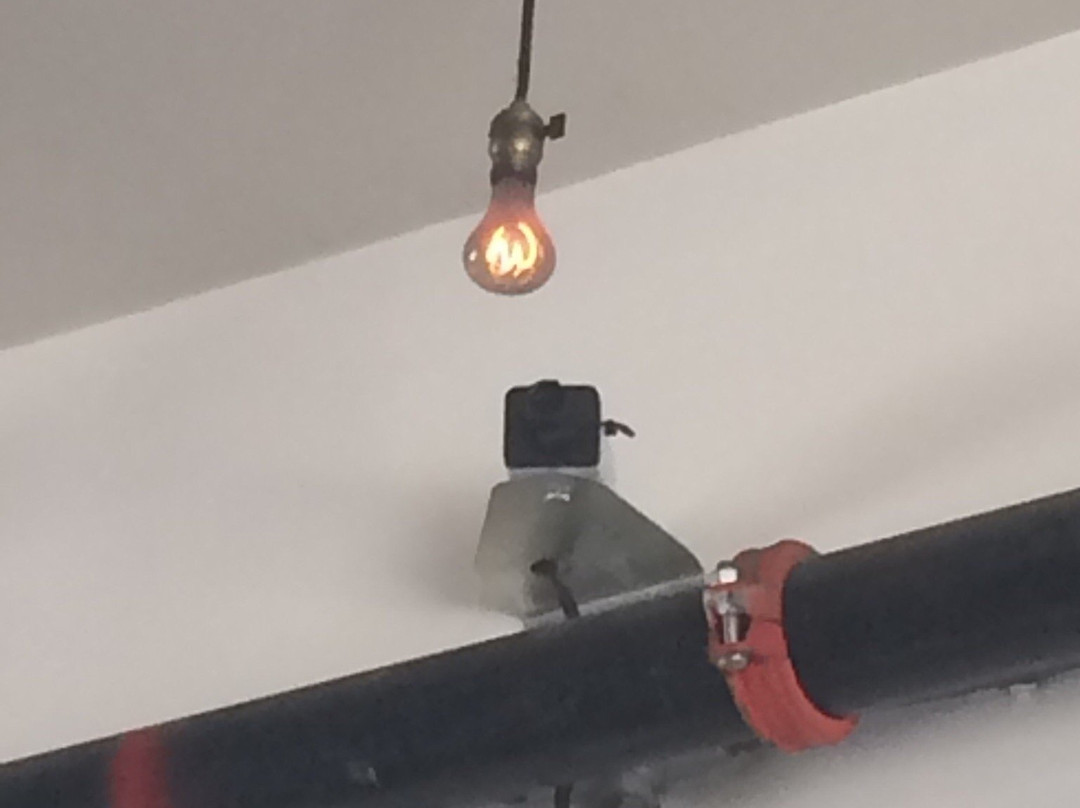 Centennial Light Bulb