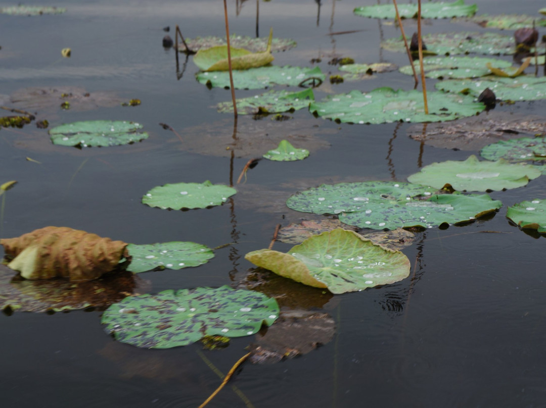 Kamping Puoy Reservoir