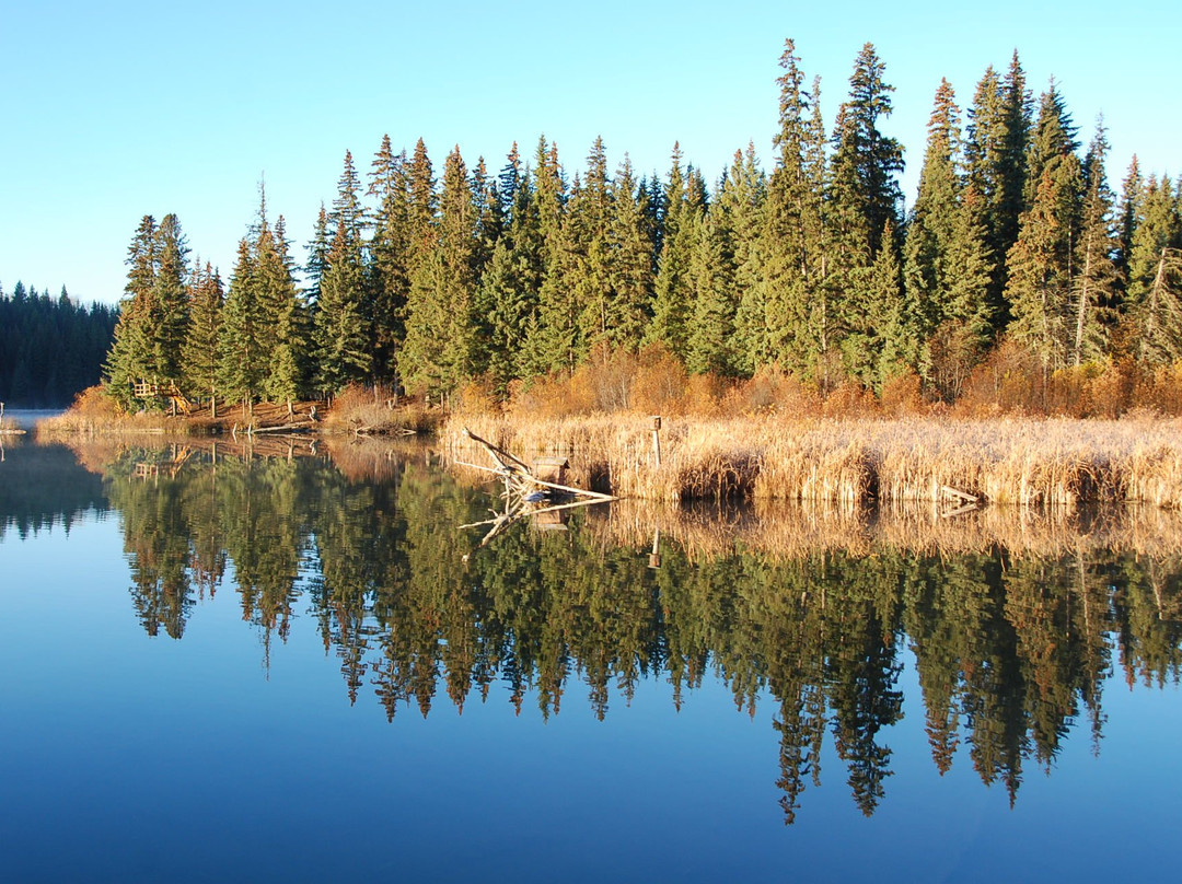 Fawn Lake Resort and Camping
