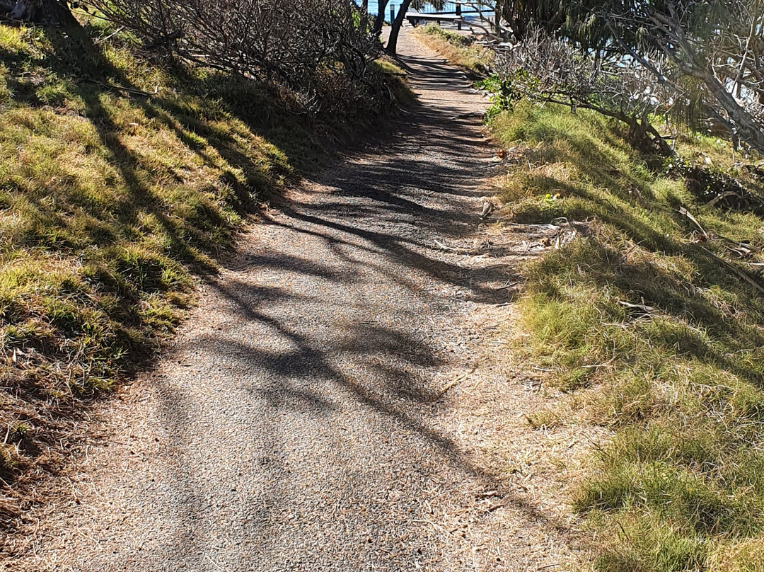 Wave Lookout-1770镇必去景点