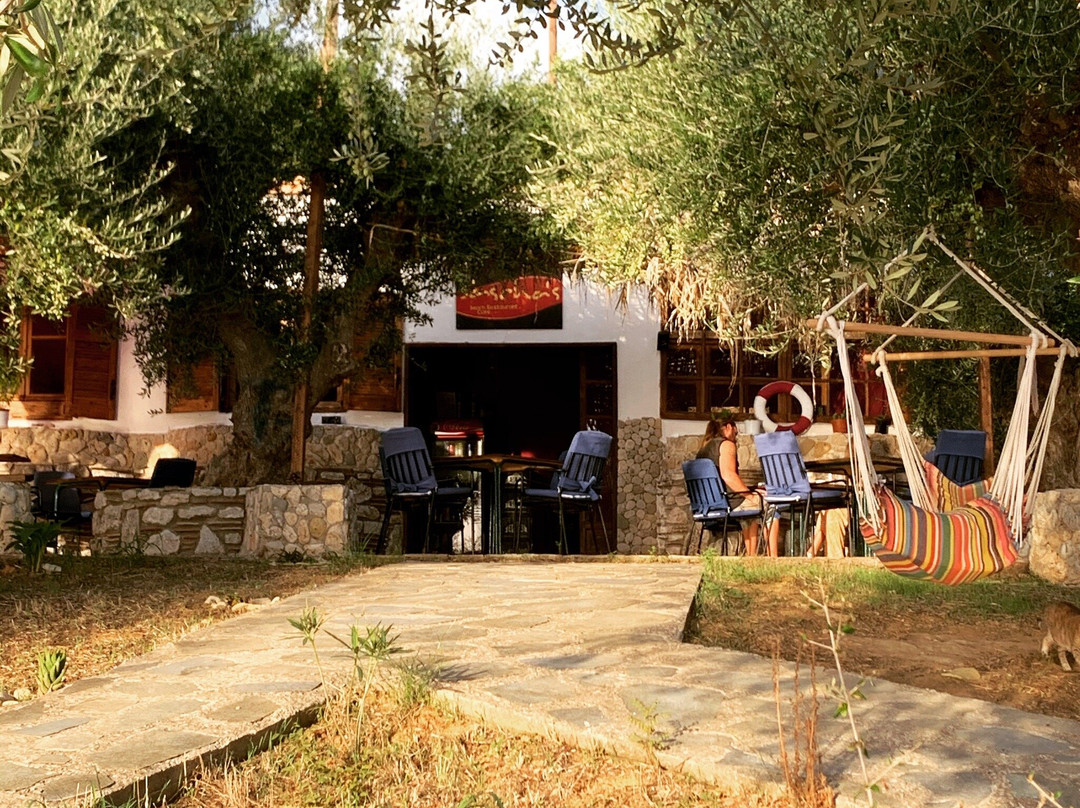 Sascha‘s Beach Restaurant & Cafe