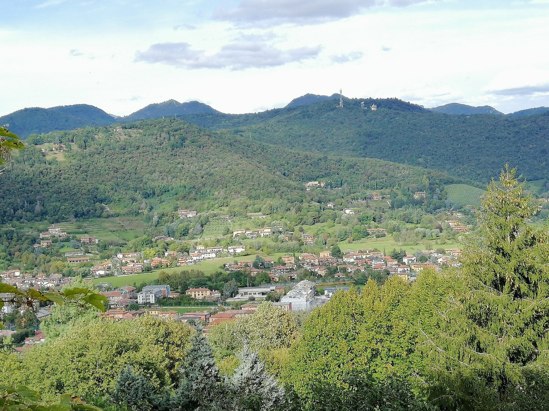 Orto Botanico di Bergamo Lorenzo Rota景点图片