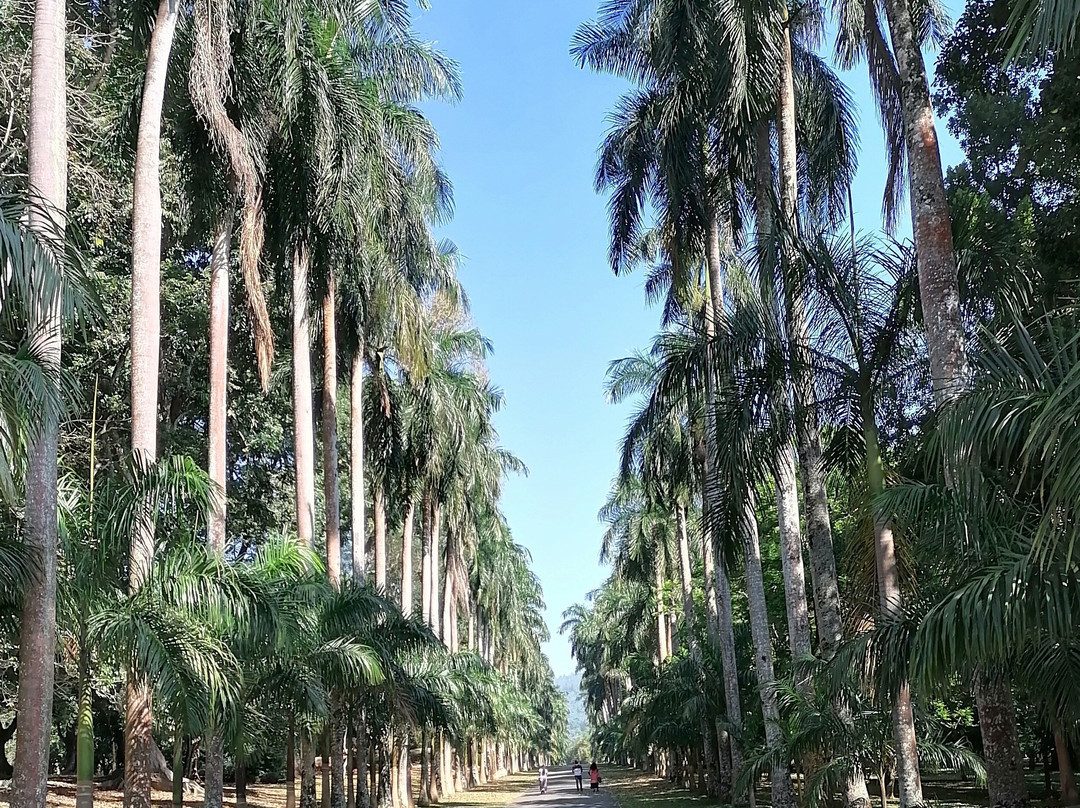 Nandika de silva-瓦都瓦必去景点