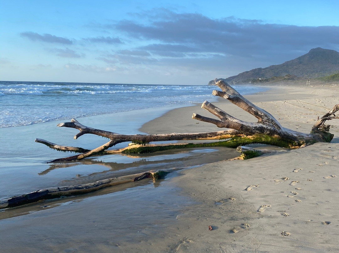 Xiobella Luxury Boutique Hotel主图