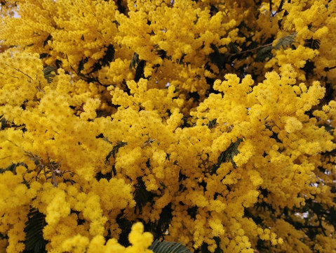 Mirador De Los Ranchos.-Galapagar必去景点