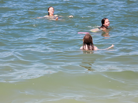 Encounters With Dolphins-克利尔沃特必去景点