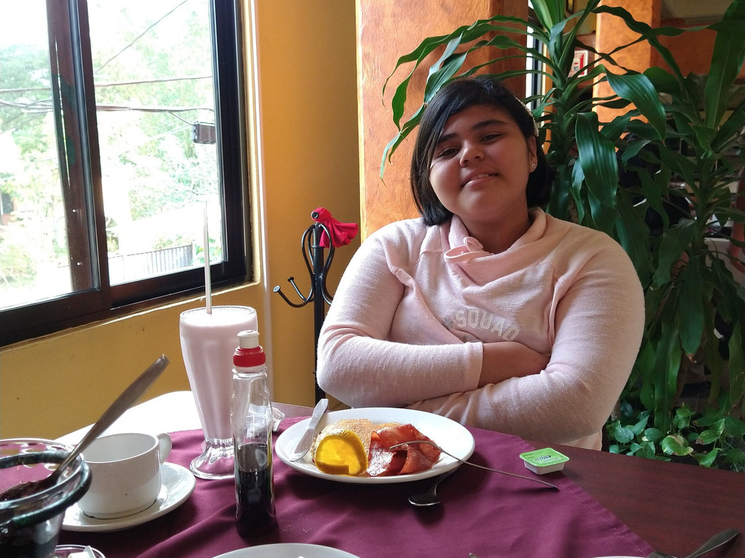 Maya Tulipanes Express主图