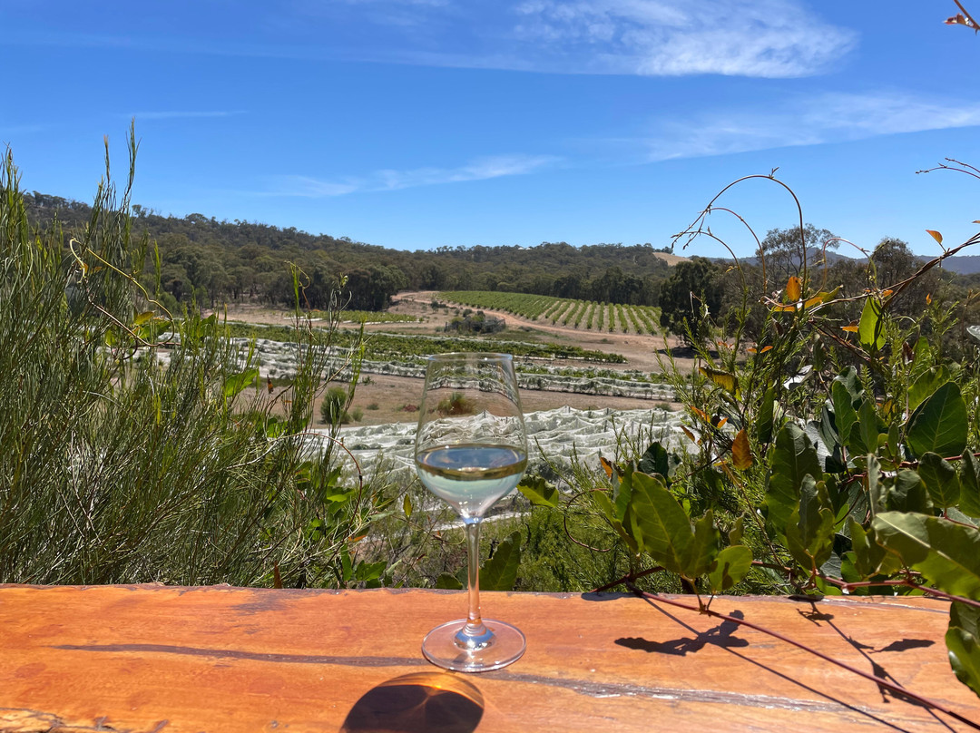 Grape Farm Winery-Moonambel必去景点