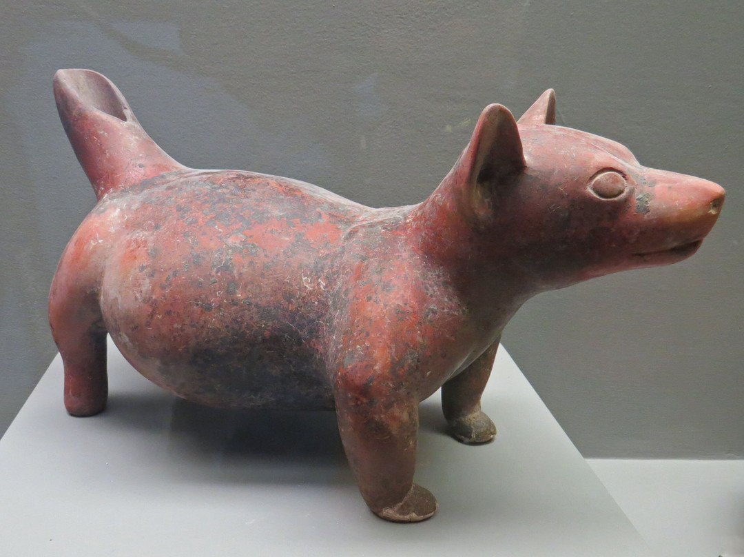 The Ashley Gibson Barnett Museum of Art-莱克兰必去景点