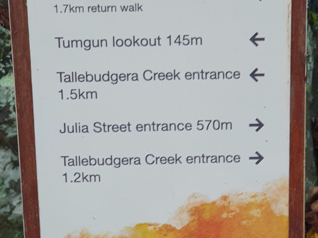 Rainforest Track-伯利角必去景点