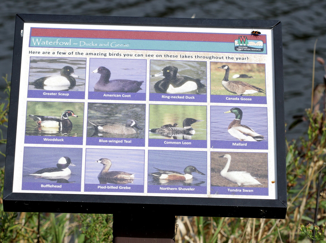 Browntown-cadiz Springs State Recreation Area-Browntown必去景点