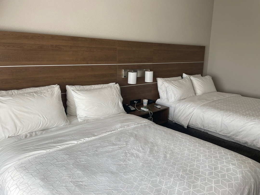 Holiday Inn Express & Suites St. Petersburg - Madeira Beach By IHG主图