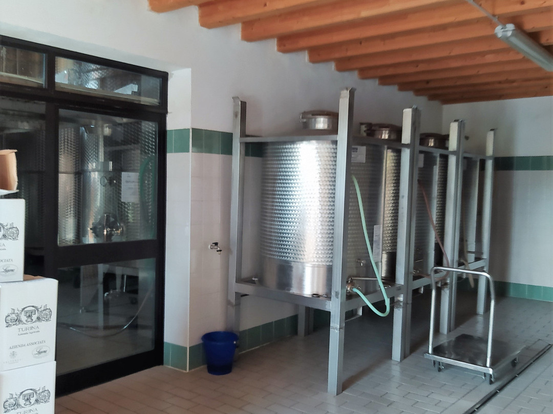 Azienda Agricola Turina景点图片