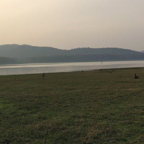 Bhadra Wildlife Sanctuary景点图片