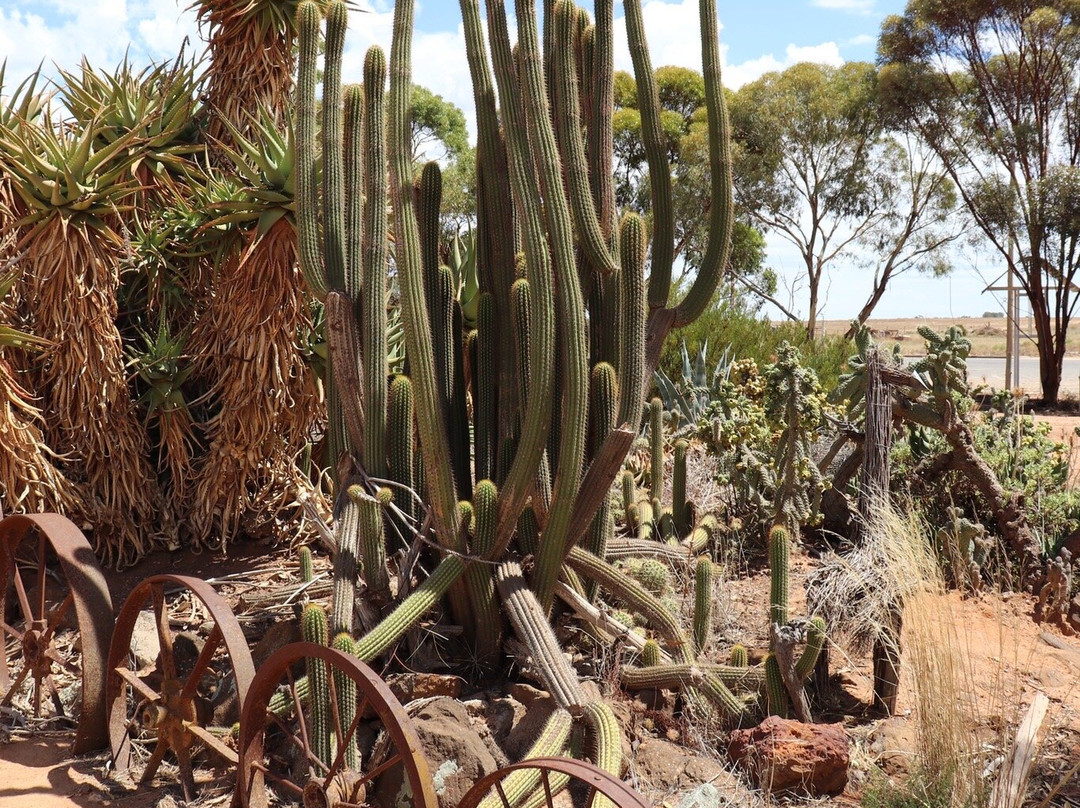 Patchewollock Art Silo-Patchewollock必去景点