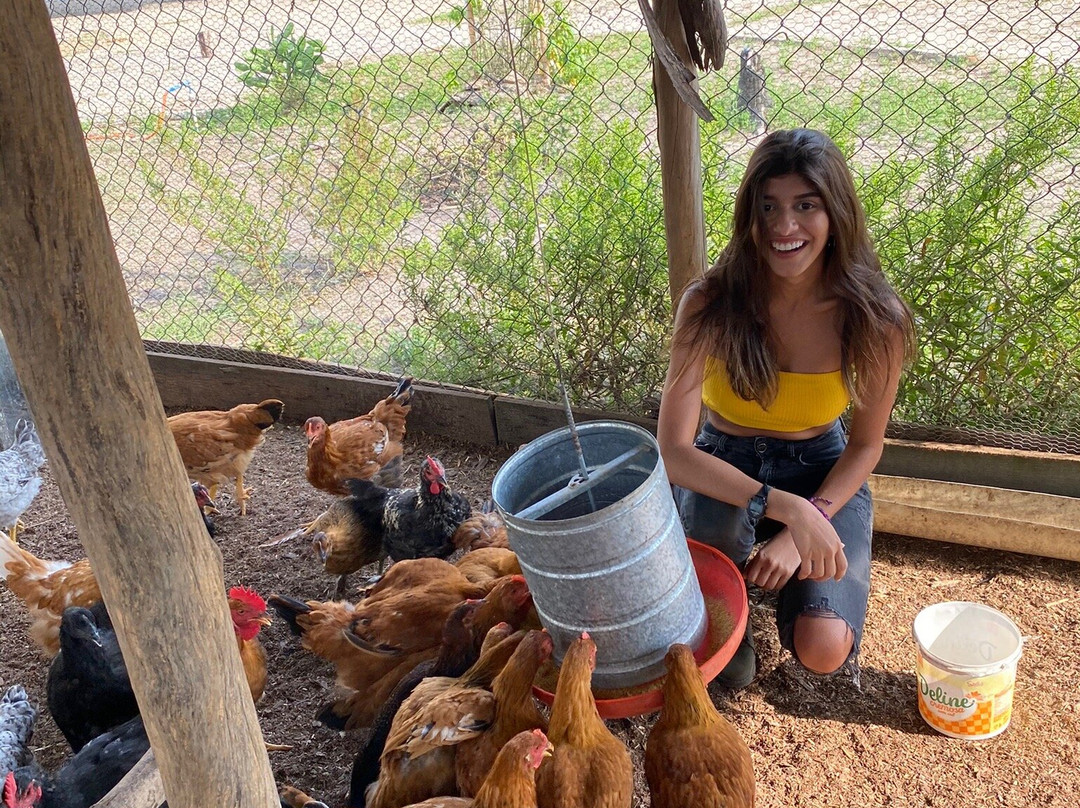 Hotel Fazenda Villa Rial主图