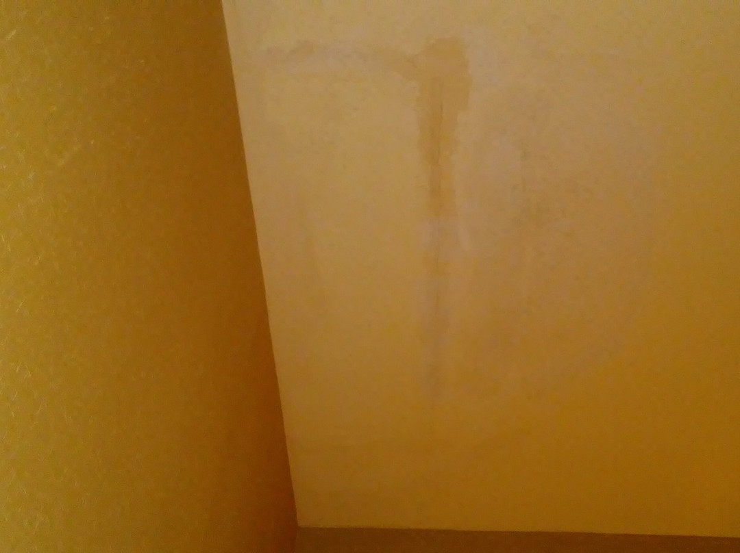 Wyndham Noblesville主图