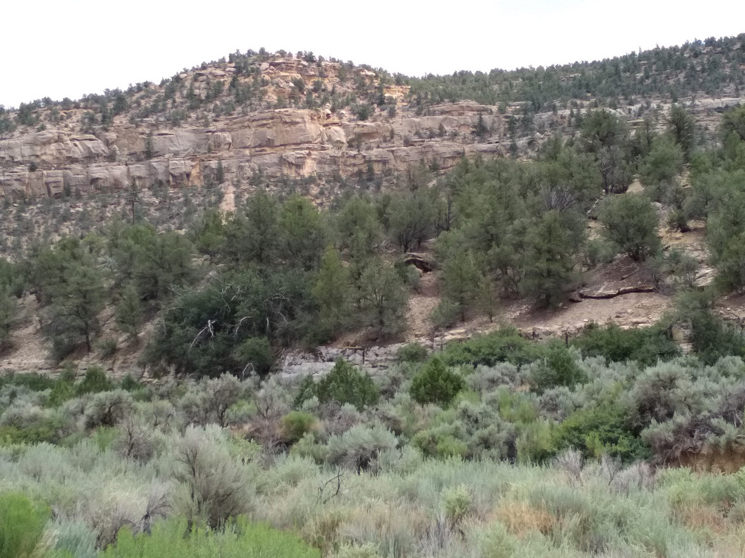 Scenic Byway 12景点图片