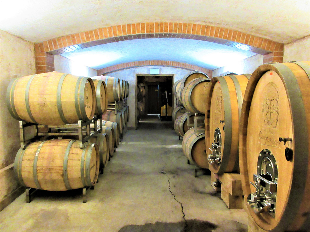 Vignoble Carpinteri景点图片