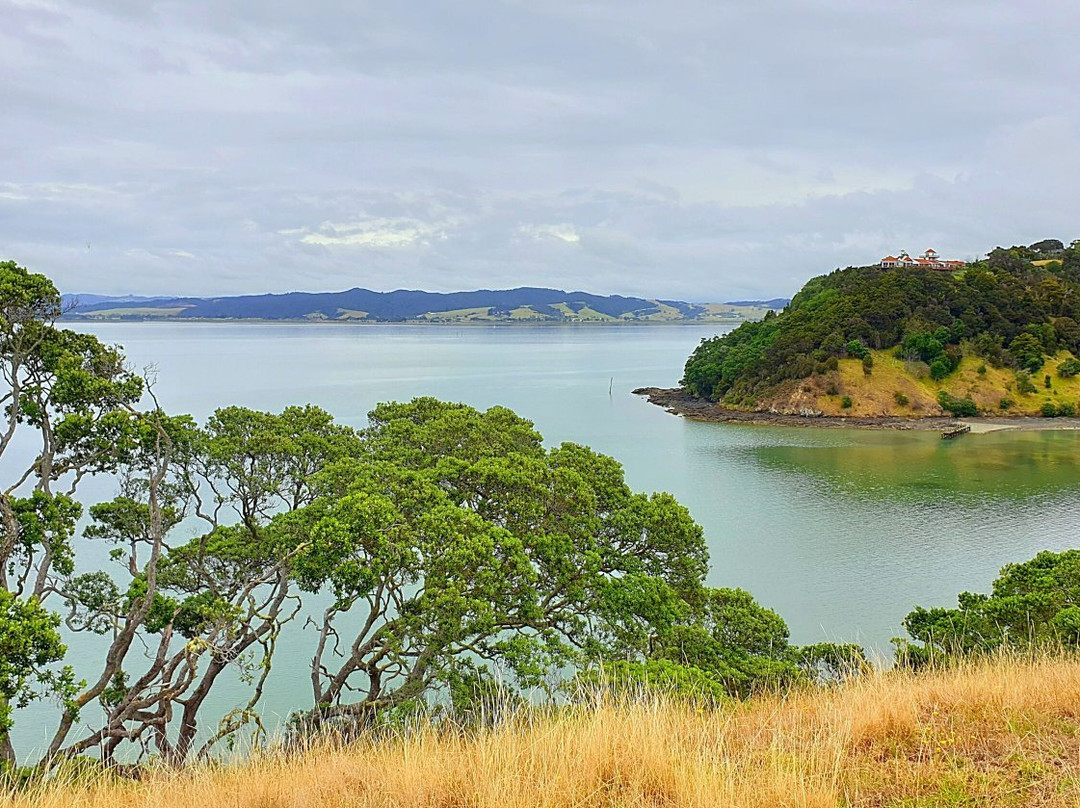 Motukiore Island景点图片