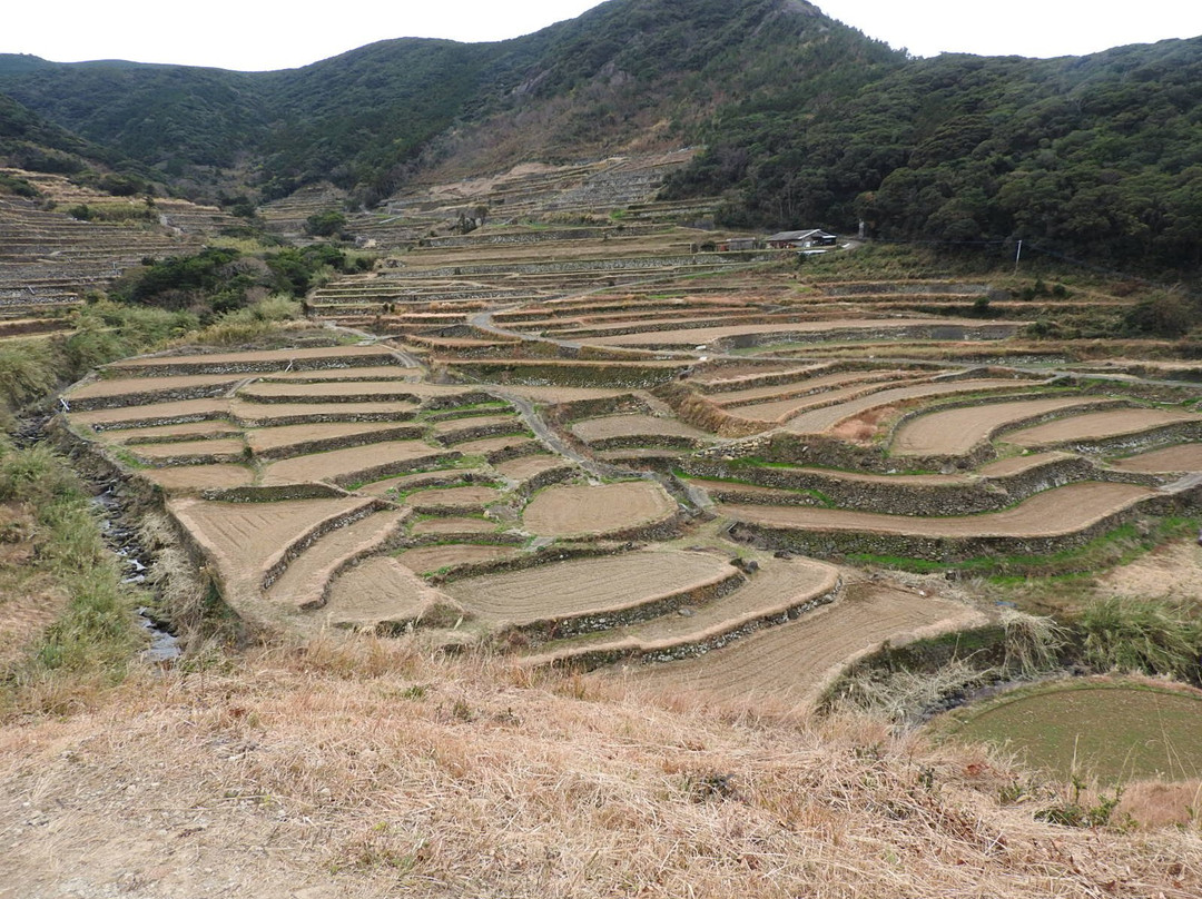 Kasuga no Tanada景点图片