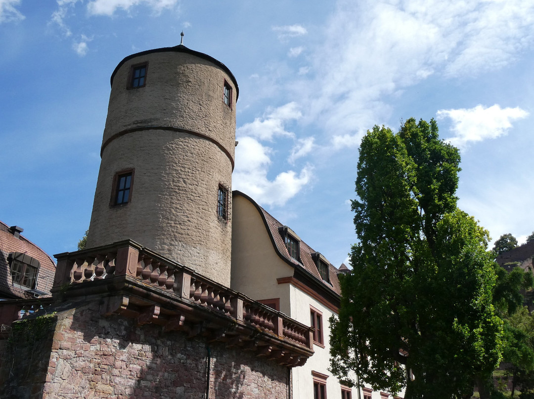Tourismus Region Wertheim景点图片
