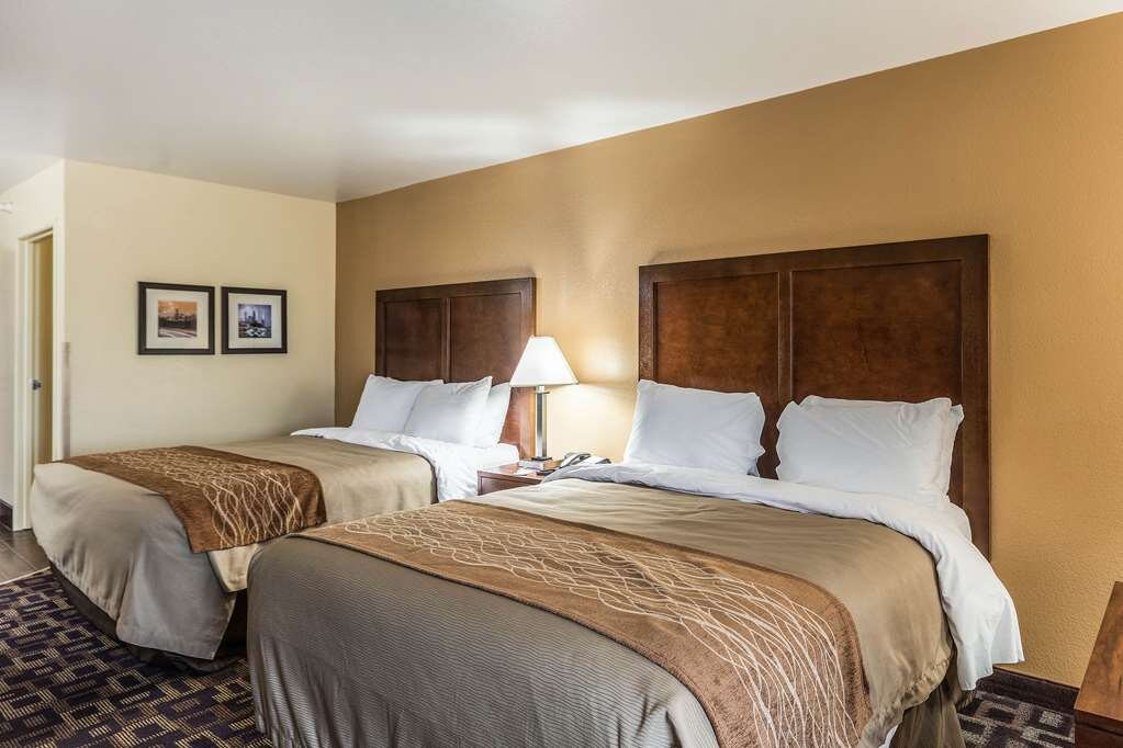 Comfort Inn & Suites North Aurora - Naperville主图