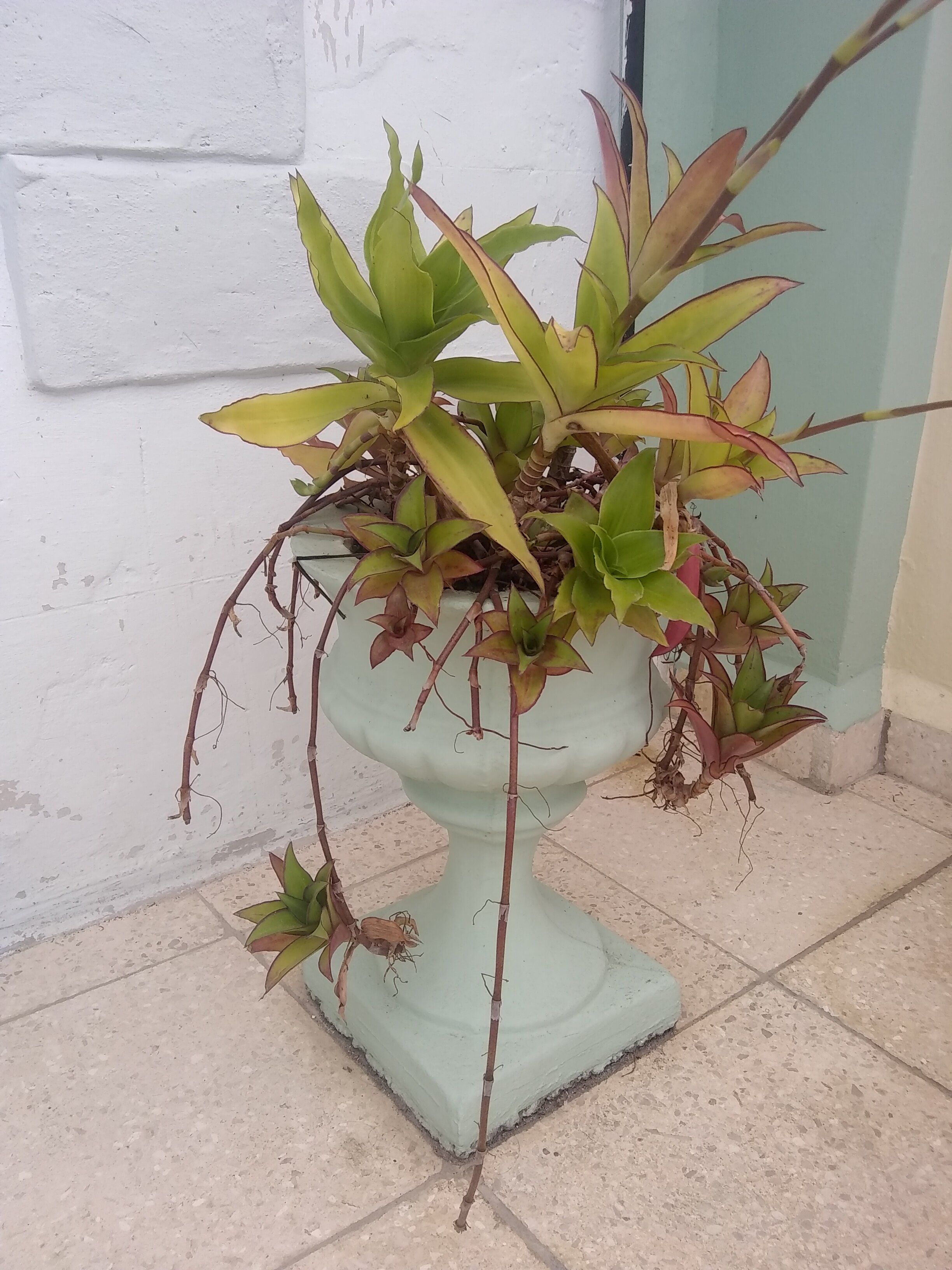 Renta Villa Caribe-portrait