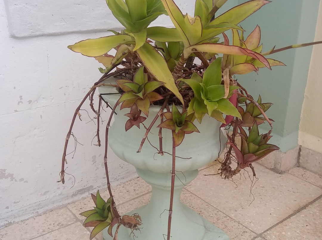 Renta Villa Caribe主图