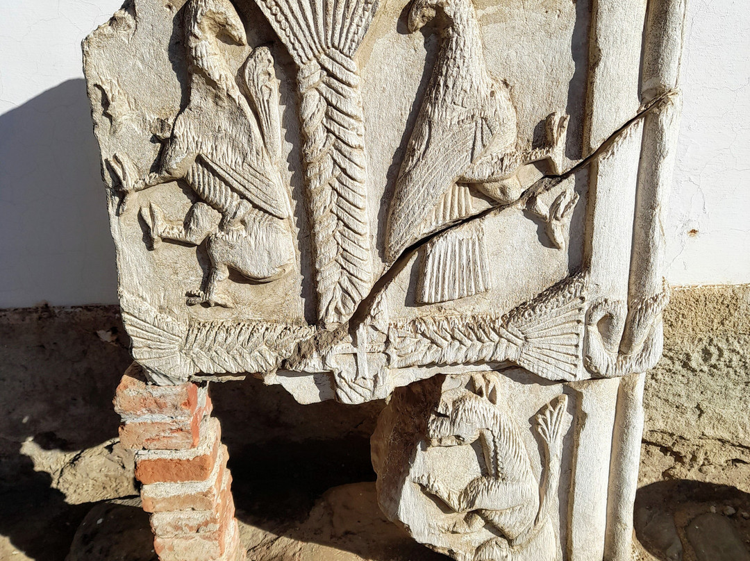 Mosaic of Tirana-地拉那必去景点