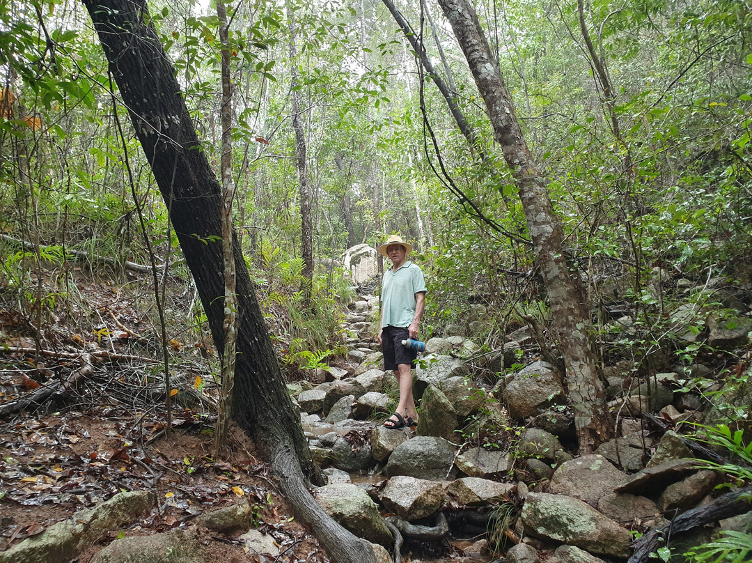 Nelly Bay to Arcadia Trail-Nelly Bay必去景点