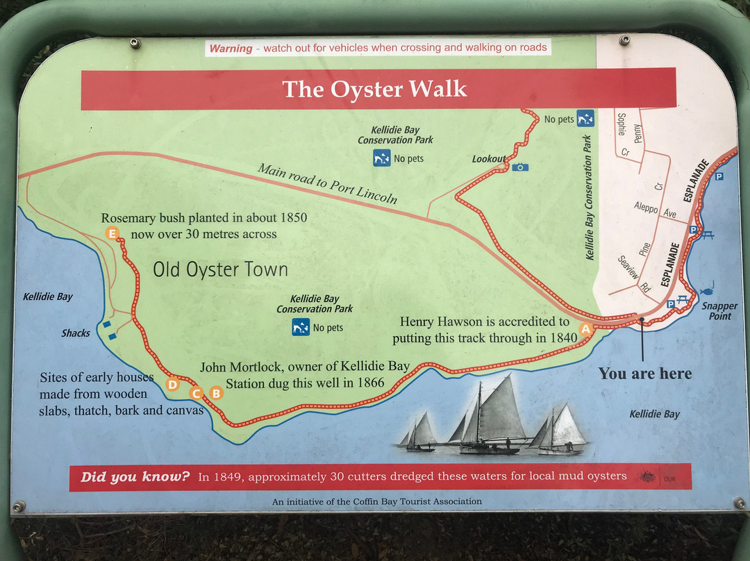 Oyster Walk景点图片