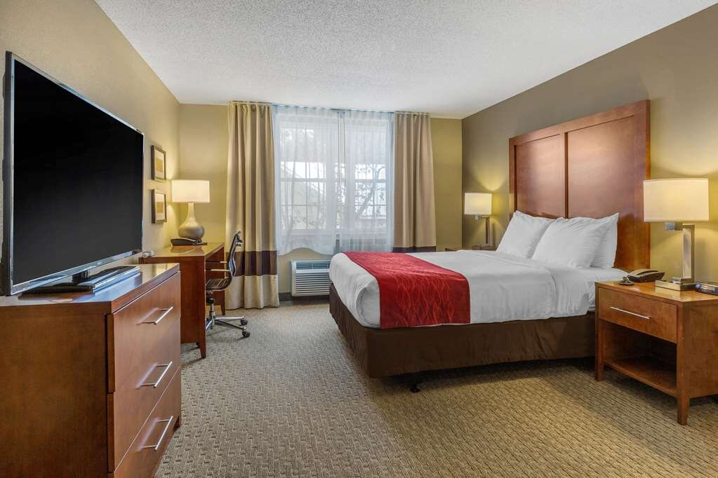 Comfort Inn & Suites North - Conway主图